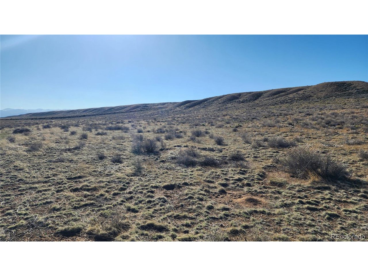 44 Collins Court Sanford, CO 81151 - Photo 11 of 15 a open area with a yard