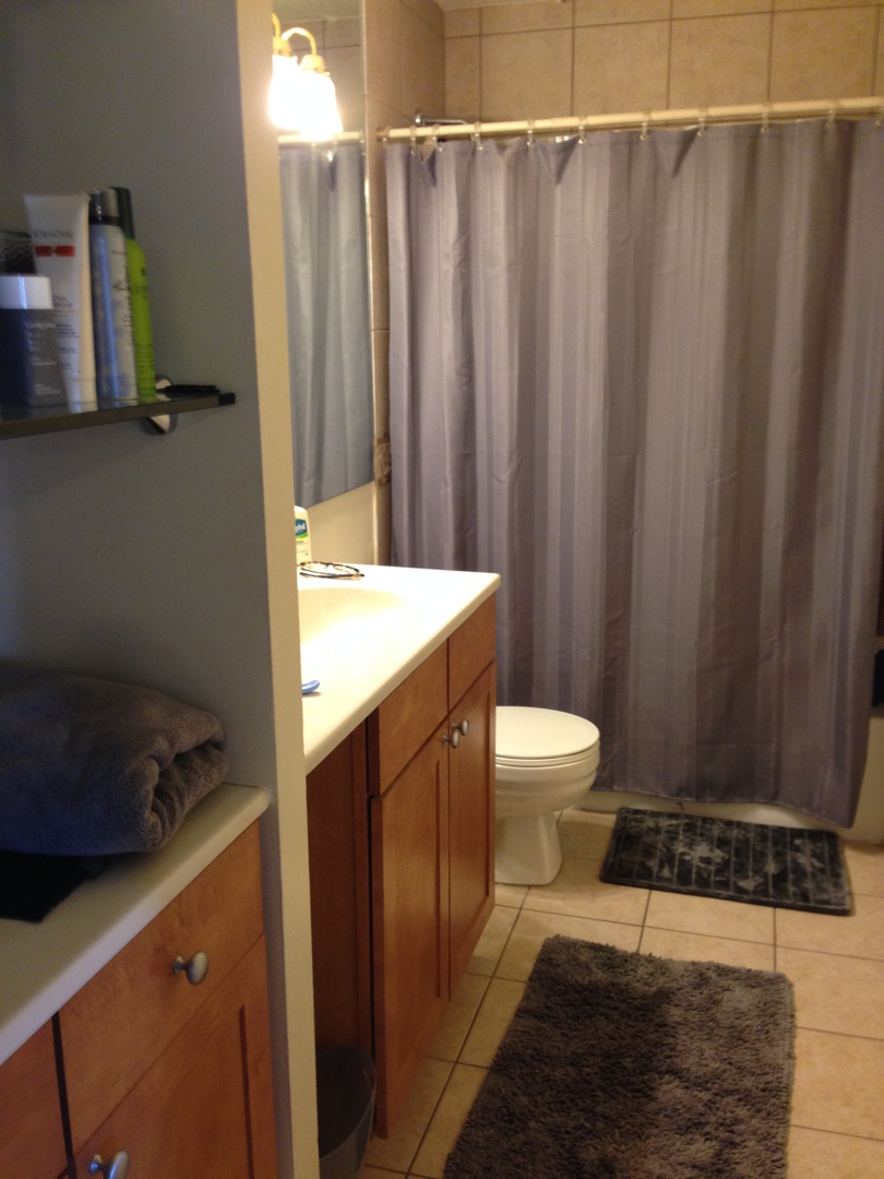 30 East Huron Street, Unit 3901 Chicago, IL 60611 - Photo 8 of 13 a bathroom with a sink a toilet and shower curtain