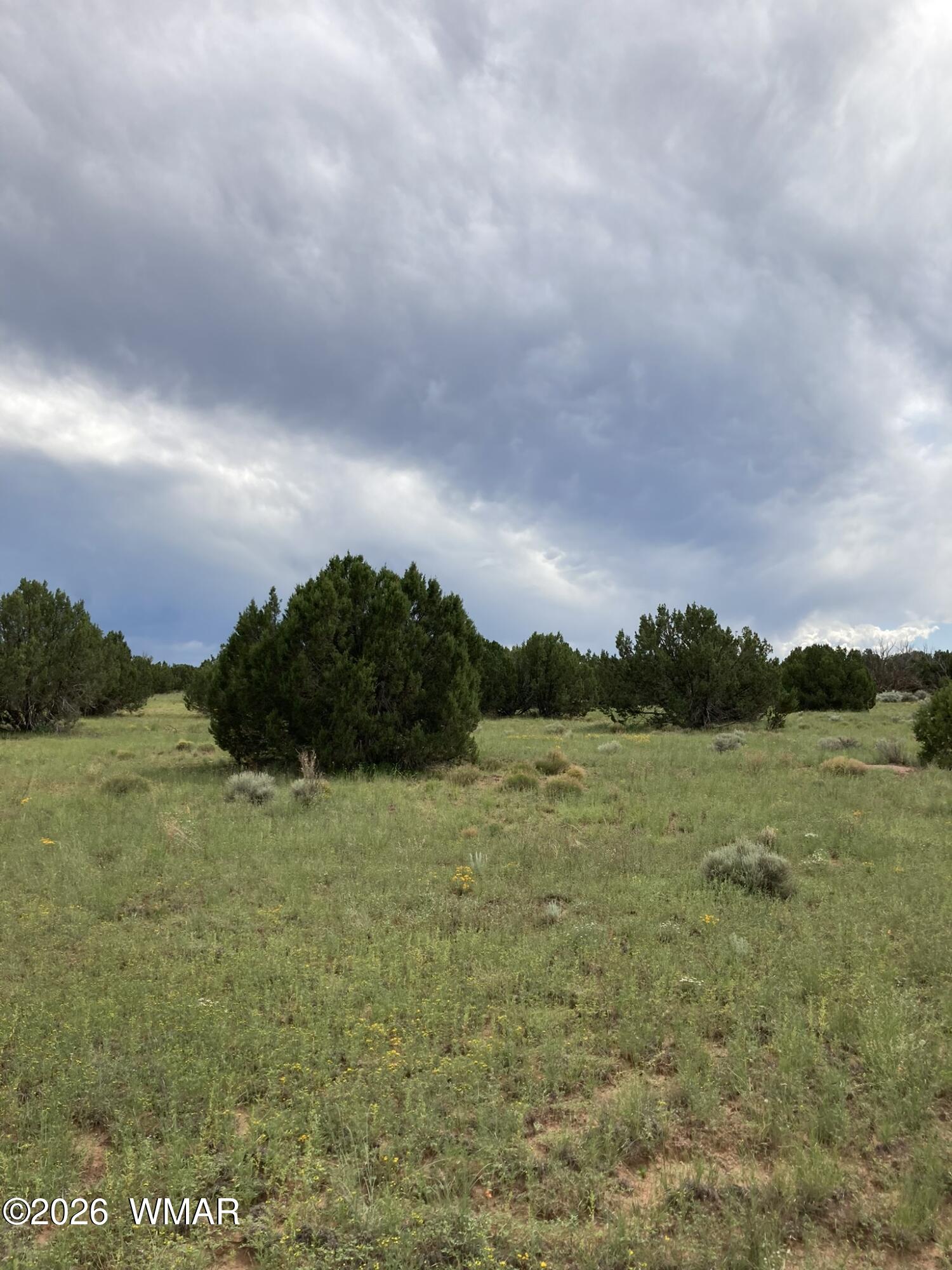 4979 Tharp Road Snowflake, AZ 85937 - Photo 13 of 19