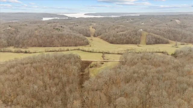 a view of a dry yard with trees