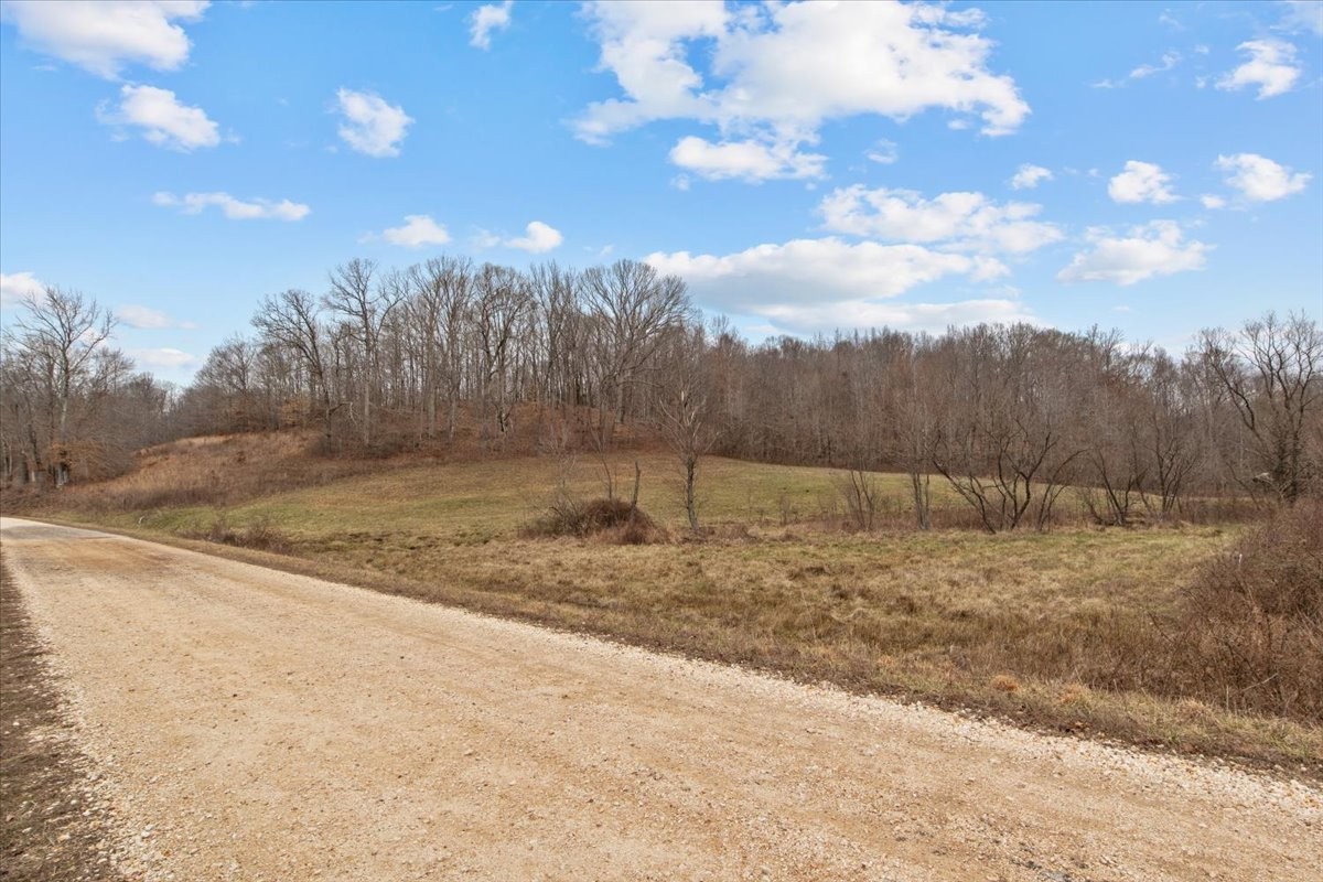 0 Jack Saunders Road Waverly, TN 37185 - Photo 12 of 34 a view of a backyard