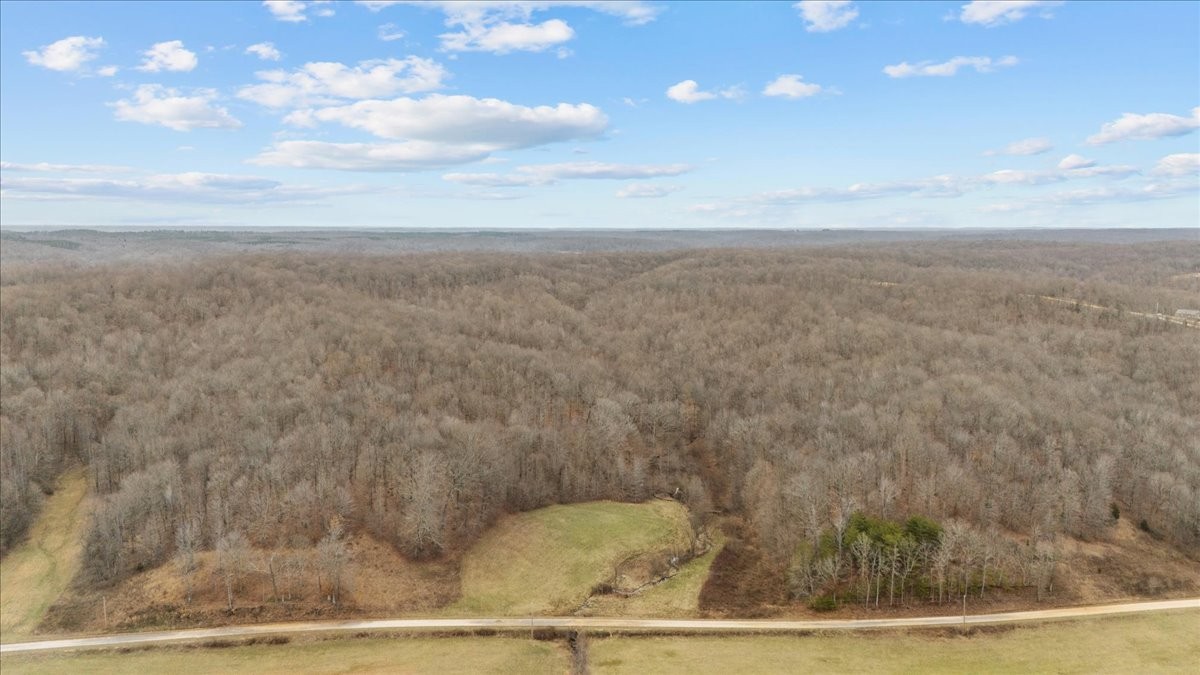 0 Jack Saunders Road Waverly, TN 37185 - Photo 13 of 34