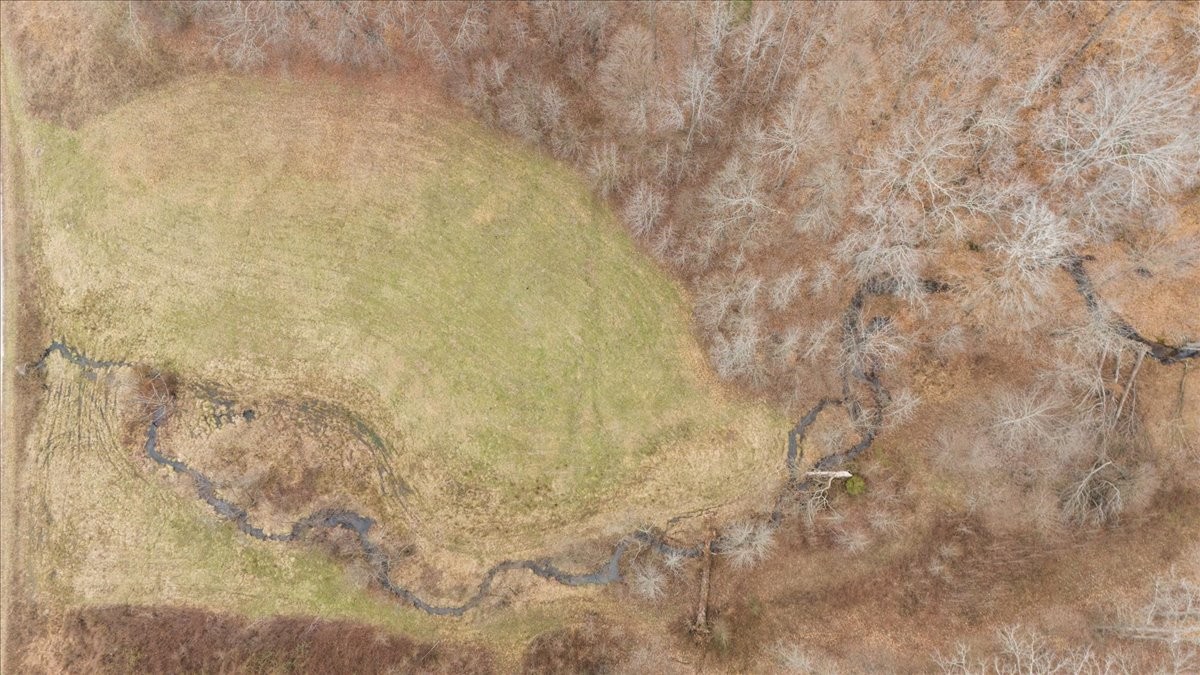 0 Jack Saunders Road Waverly, TN 37185 - Photo 14 of 34