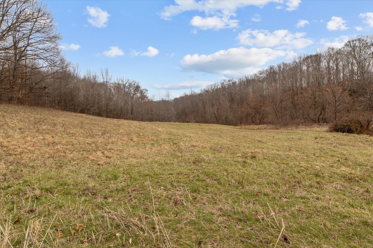 0 Jack Saunders Road Waverly, TN 37185 - Photo 16 of 34 a view of basketball court