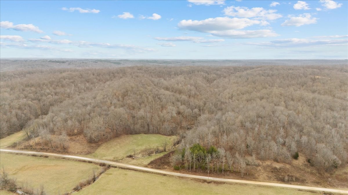 0 Jack Saunders Road Waverly, TN 37185 - Photo 17 of 34 a view of a bathtub in a bathroom
