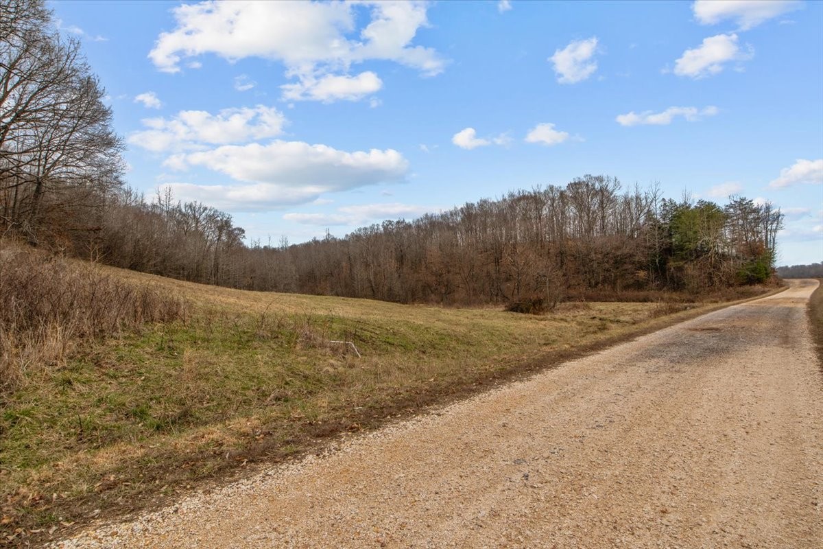 0 Jack Saunders Road Waverly, TN 37185 - Photo 19 of 34