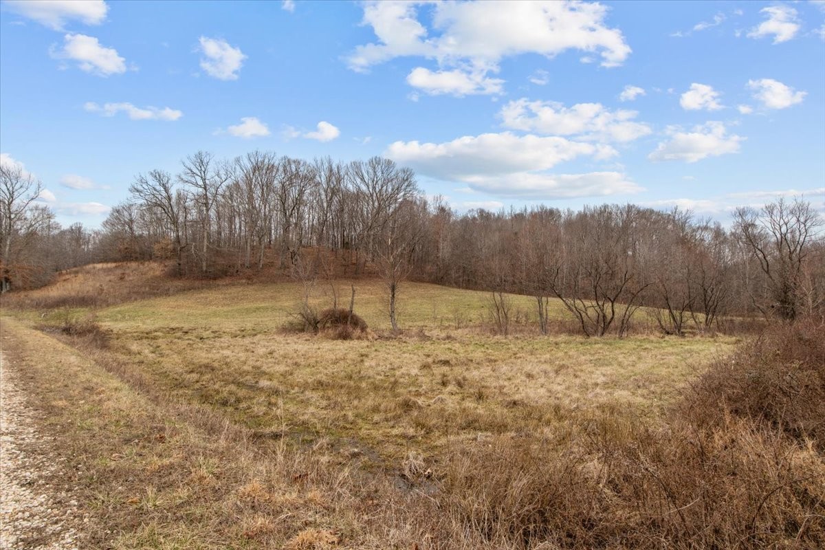 0 Jack Saunders Road Waverly, TN 37185 - Photo 20 of 34 a view of a dry yard with trees