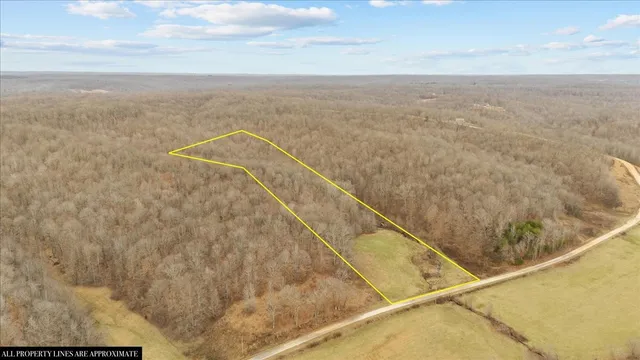 a view of a dry yard