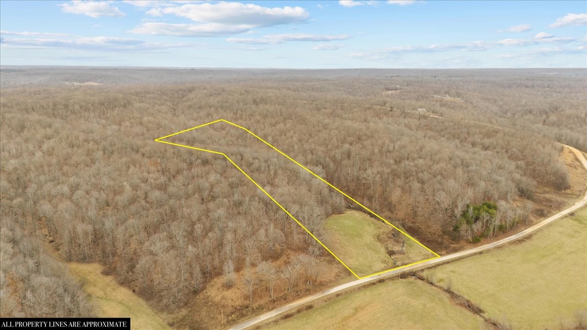 0 Jack Saunders Road Waverly, TN 37185 - Photo 2 of 34