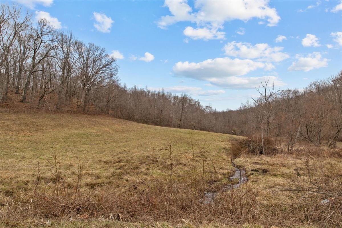 0 Jack Saunders Road Waverly, TN 37185 - Photo 22 of 34