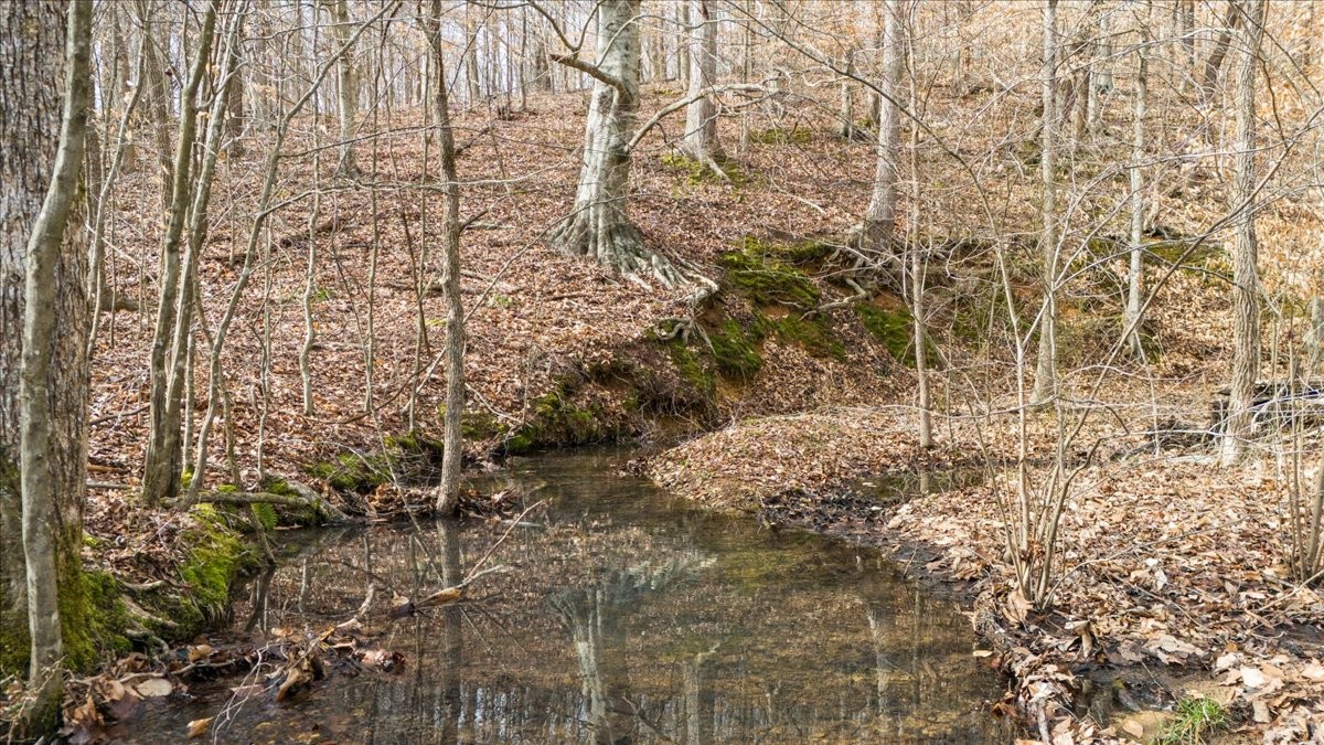 0 Jack Saunders Road Waverly, TN 37185 - Photo 26 of 34