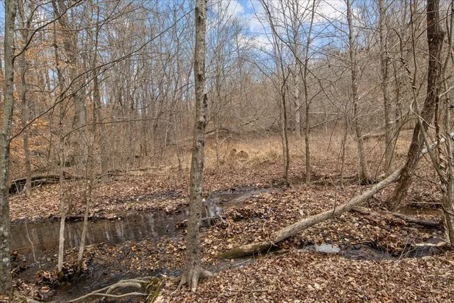 $79,900 | 0 Jack Saunders Road, Waverly, TN 37185