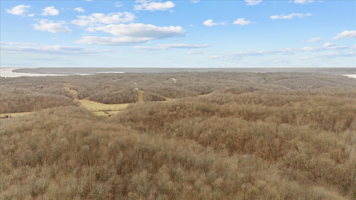 0 Jack Saunders Road Waverly, TN 37185 - Photo 28 of 34