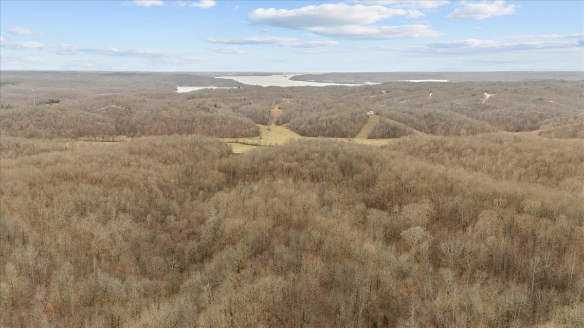 0 Jack Saunders Road Waverly, TN 37185 - Photo 29 of 34