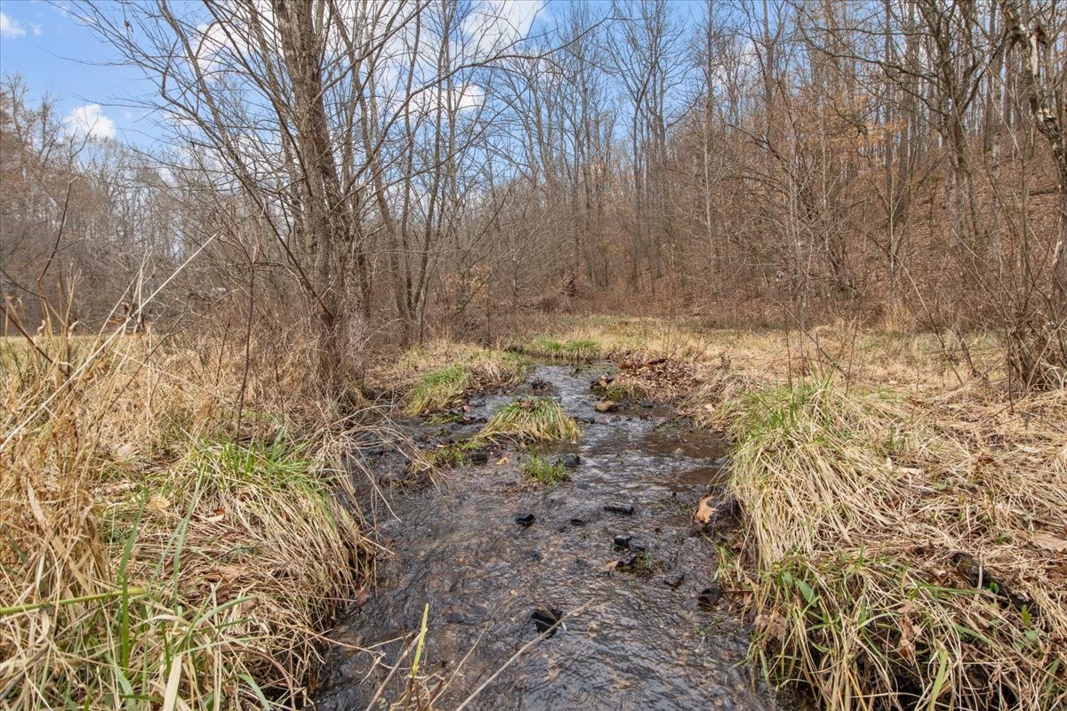 0 Jack Saunders Road Waverly, TN 37185 - Photo 3 of 34 a view of a yard