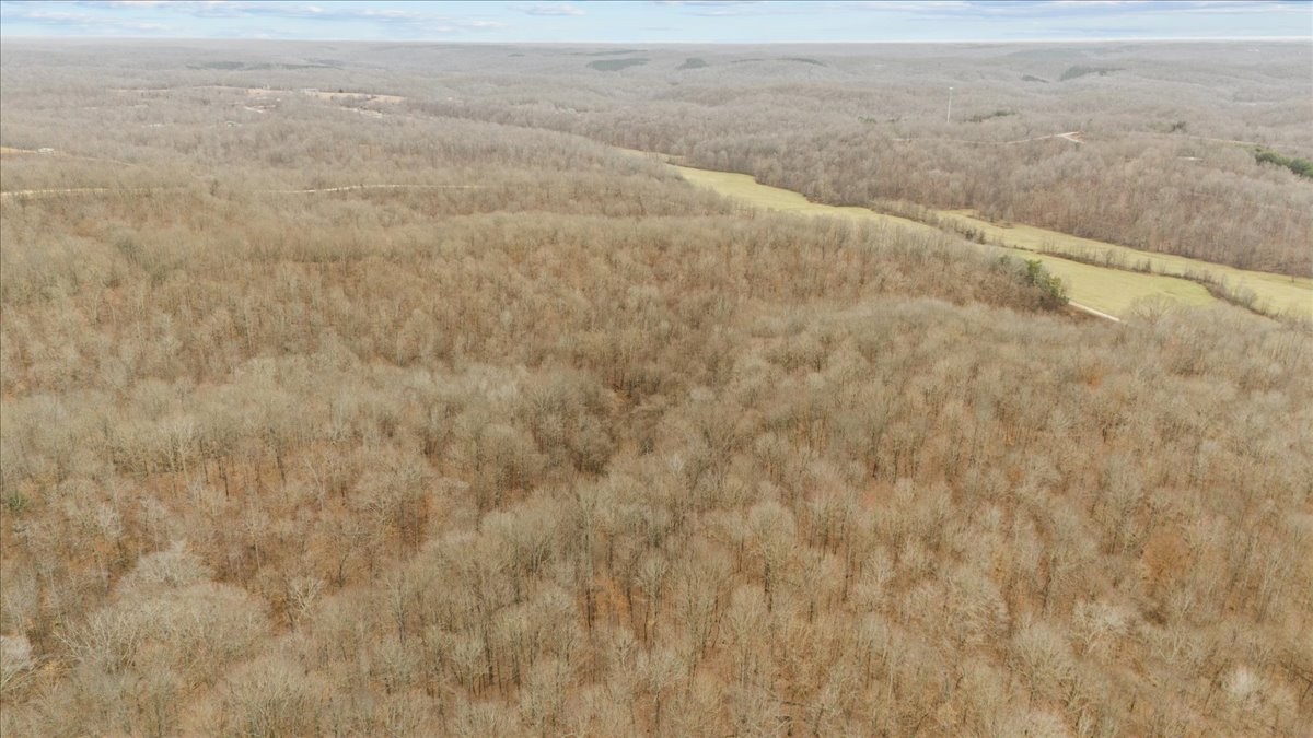 0 Jack Saunders Road Waverly, TN 37185 - Photo 31 of 34 a view of beach and small space