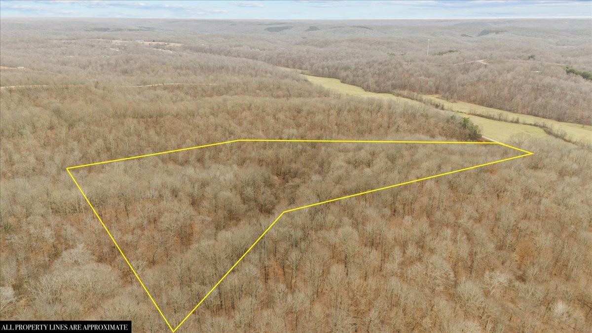 0 Jack Saunders Road Waverly, TN 37185 - Photo 5 of 34 a view of a dry yard