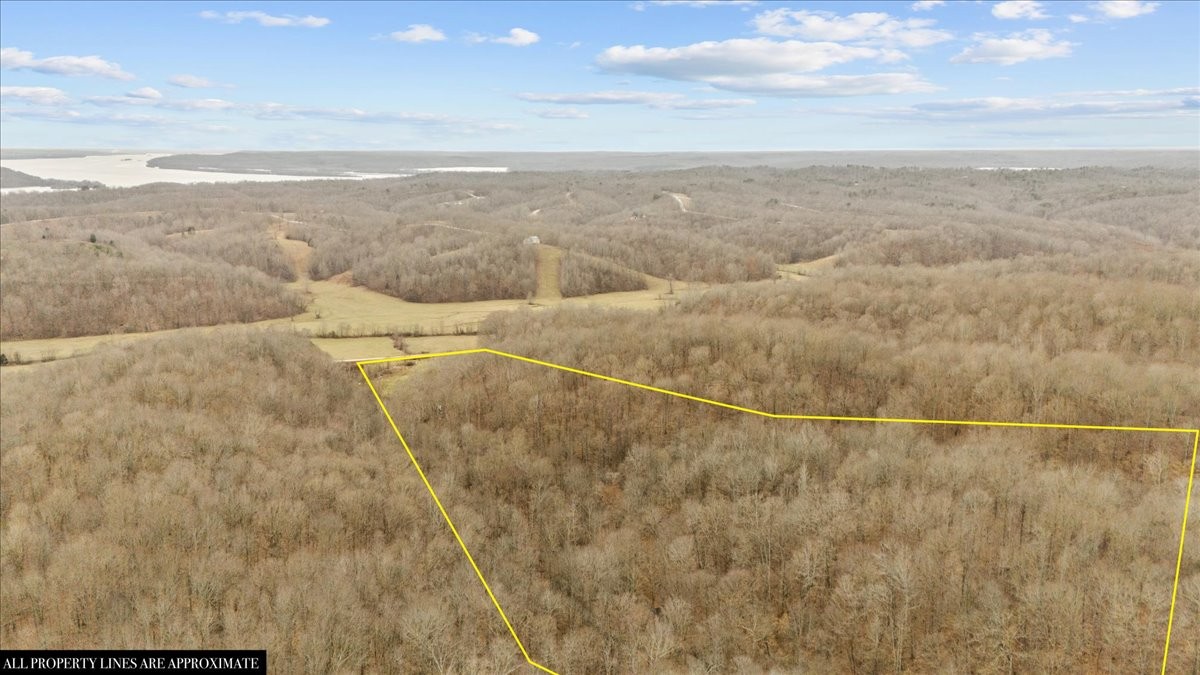 0 Jack Saunders Road Waverly, TN 37185 - Photo 6 of 34 a view of a dry yard