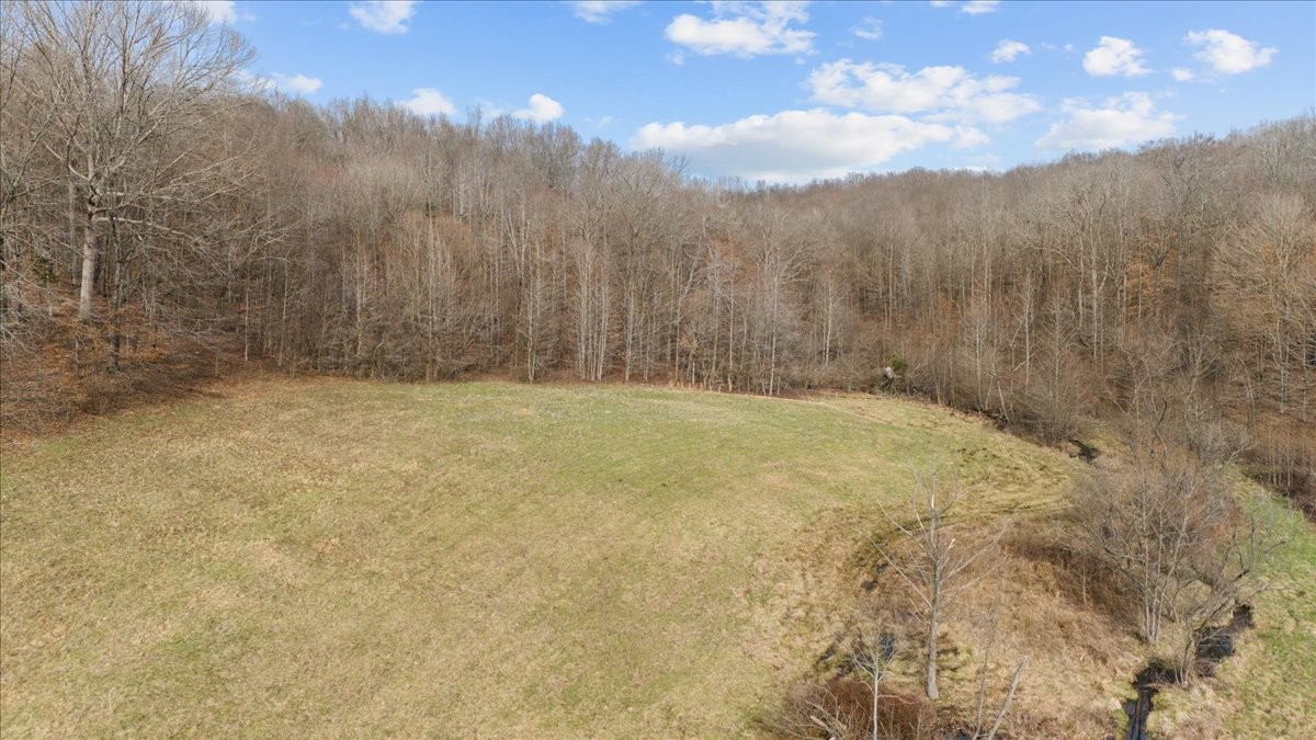 0 Jack Saunders Road Waverly, TN 37185 - Photo 7 of 34 a view of a yard with trees in the background
