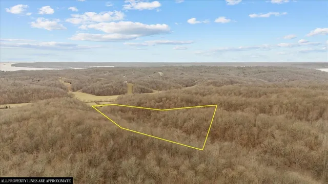 a view of basketball court