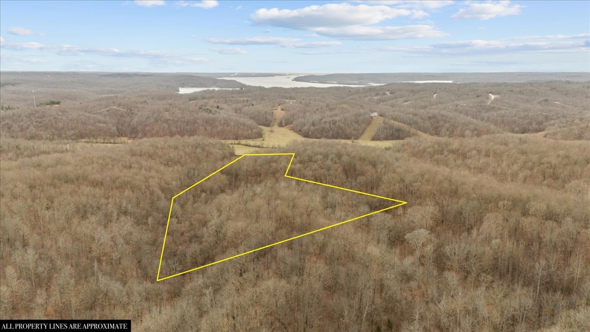 0 Jack Saunders Road Waverly, TN 37185 - Photo 10 of 34