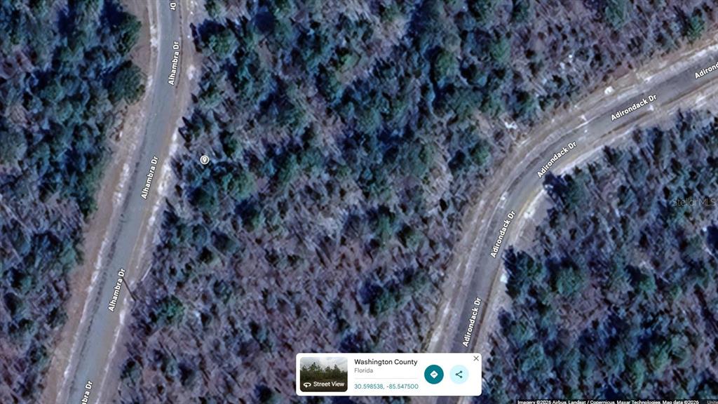 11 Alhambra Drive Chipley, FL 32428 - Photo 6 of 6 a backyard of a house with a tree