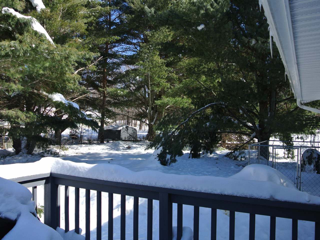 1667 Bonack Loop Three Lakes, WI 54562 - Photo 17 of 23 Gallery Image 17