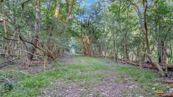 a view of a lake with a bench