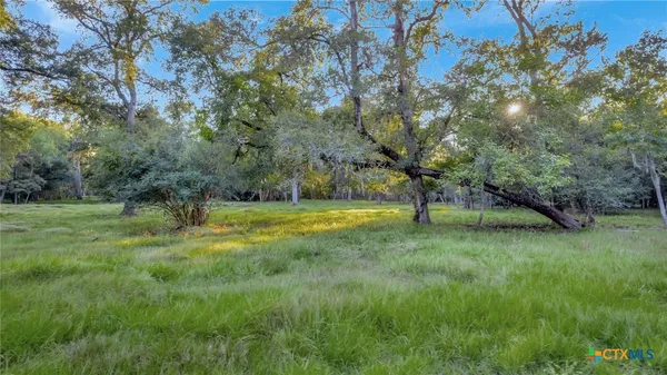 a view of a yard in a yard
