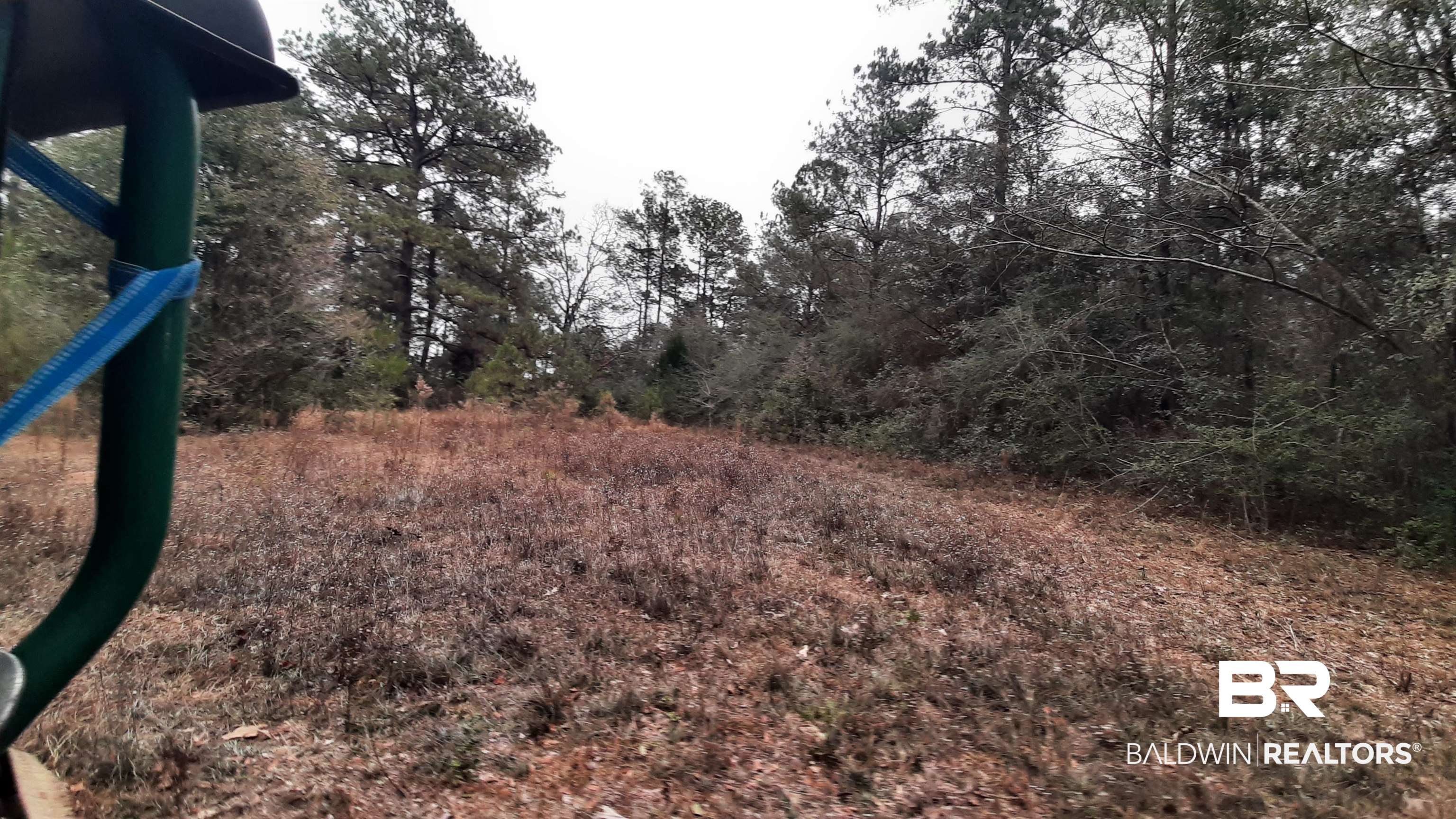 11375 Spring Lake Road Chunchula, AL 36521 - Photo 6 of 26