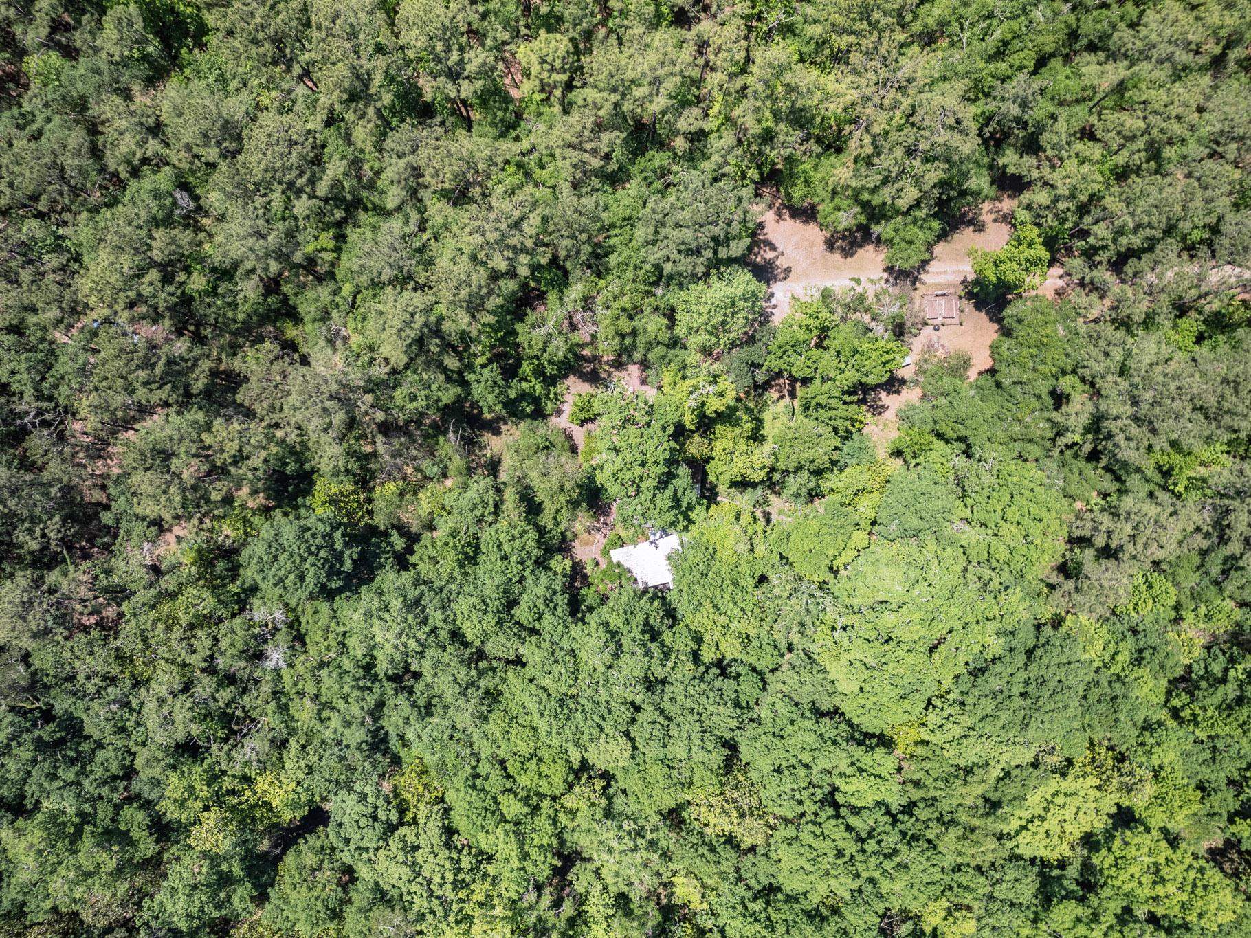 89 Greenough Road Sopchoppy, FL 32358 - Photo 2 of 42