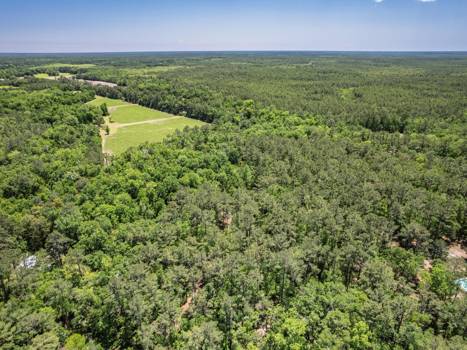 89 Greenough Road Sopchoppy, FL 32358 - Photo 4 of 42