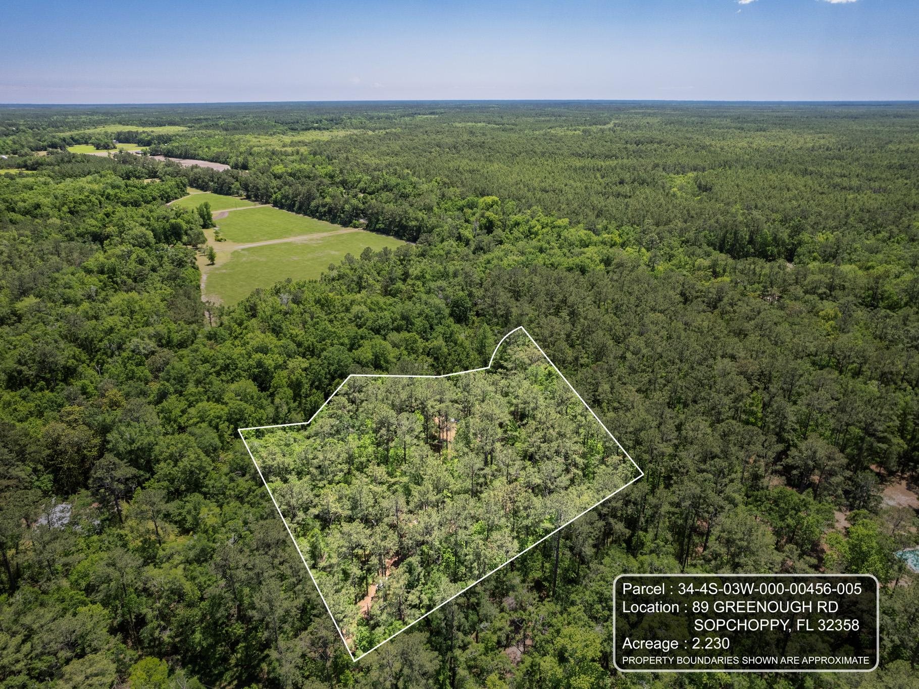 89 Greenough Road Sopchoppy, FL 32358 - Photo 41 of 42