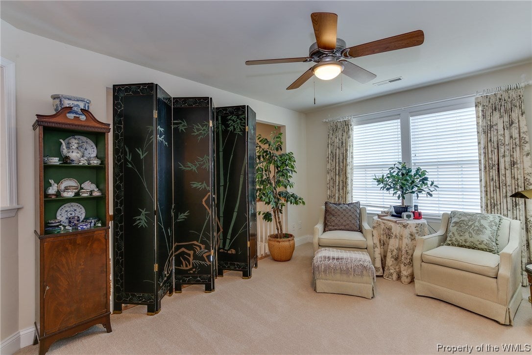 4219 Old Lock Road Williamsburg, VA 23188 - Photo 28 of 50 Gallery Image 28