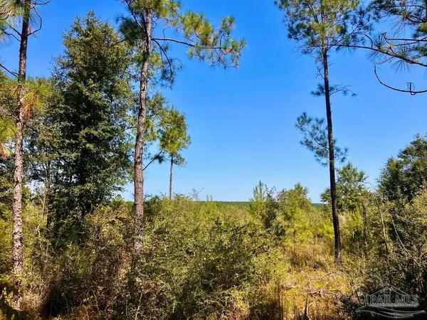$170,000 | Lot 6 Sounder Drive, Molino, FL 32577