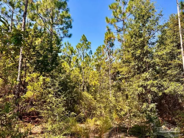 $170,000 | Lot 6 Sounder Drive, Molino, FL 32577