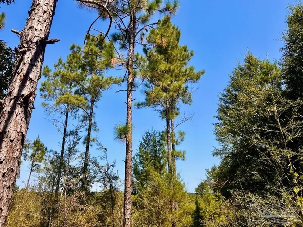 $170,000 | Lot 6 Sounder Drive, Molino, FL 32577
