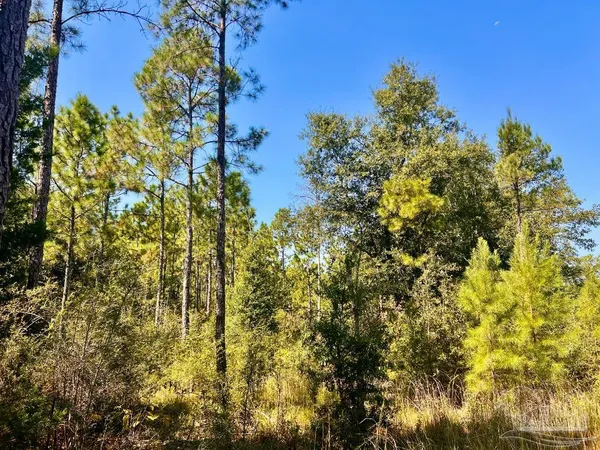 $170,000 | Lot 6 Sounder Drive, Molino, FL 32577