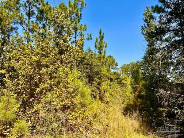 $170,000 | Lot 6 Sounder Drive, Molino, FL 32577
