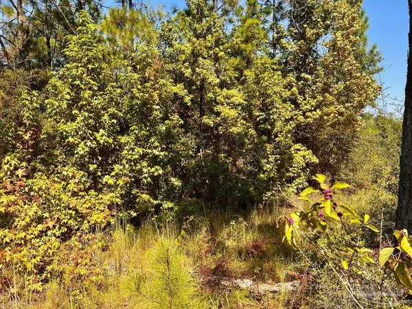 $170,000 | Lot 6 Sounder Drive, Molino, FL 32577
