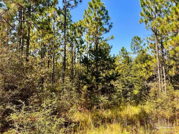 $170,000 | Lot 6 Sounder Drive, Molino, FL 32577