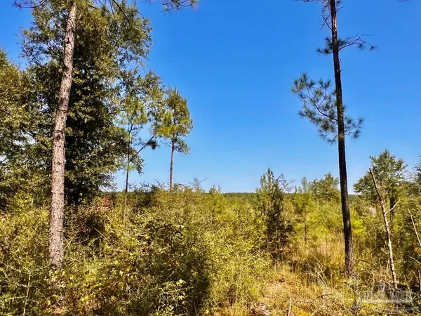 $170,000 | Lot 6 Sounder Drive, Molino, FL 32577