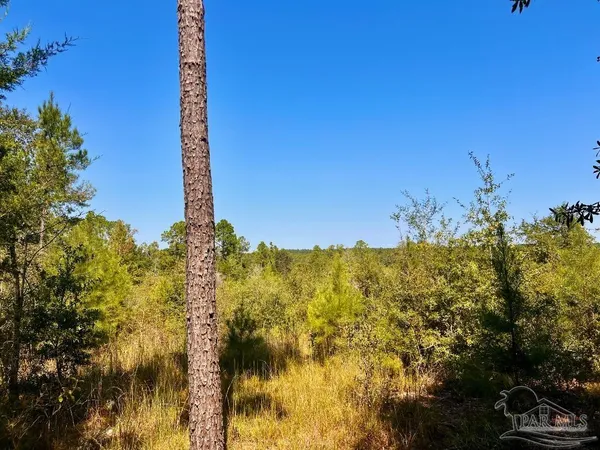 $170,000 | Lot 6 Sounder Drive, Molino, FL 32577