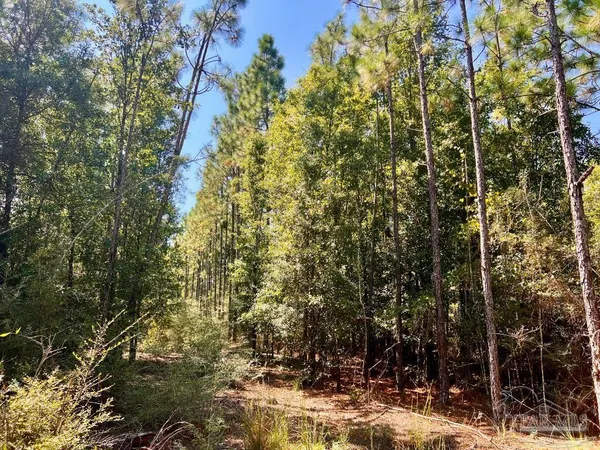 $170,000 | Lot 6 Sounder Drive, Molino, FL 32577