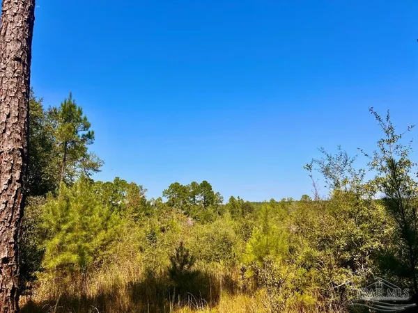 $170,000 | Lot 6 Sounder Drive, Molino, FL 32577