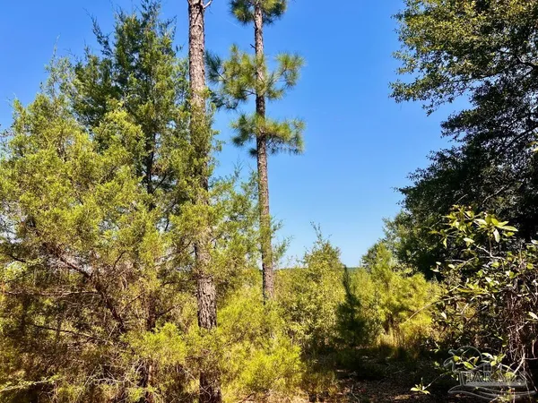 $170,000 | Lot 6 Sounder Drive, Molino, FL 32577