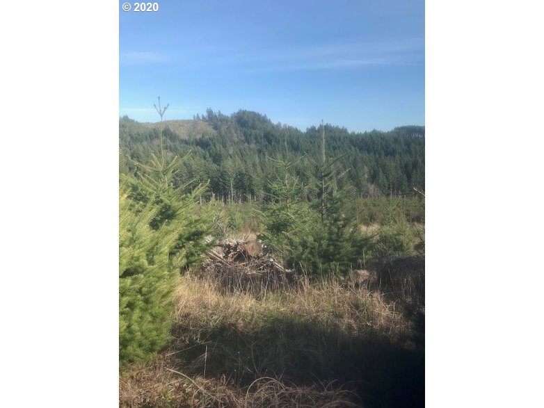 Peavine Road McMinnville, OR 97128 - Photo 1 of 12 Gallery Image 1