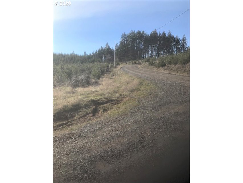 Peavine Road McMinnville, OR 97128 - Photo 11 of 12 Gallery Image 11