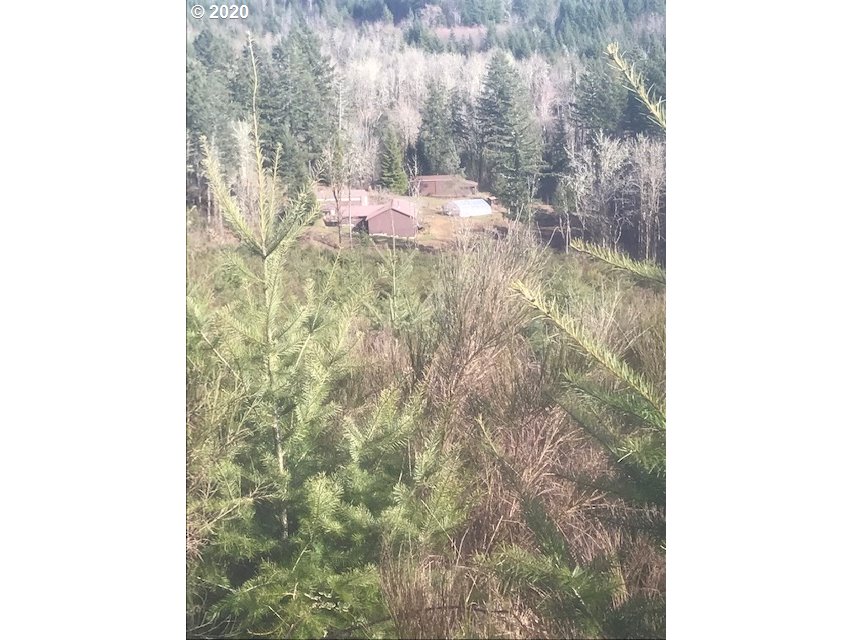Peavine Road McMinnville, OR 97128 - Photo 12 of 12 Gallery Image 12