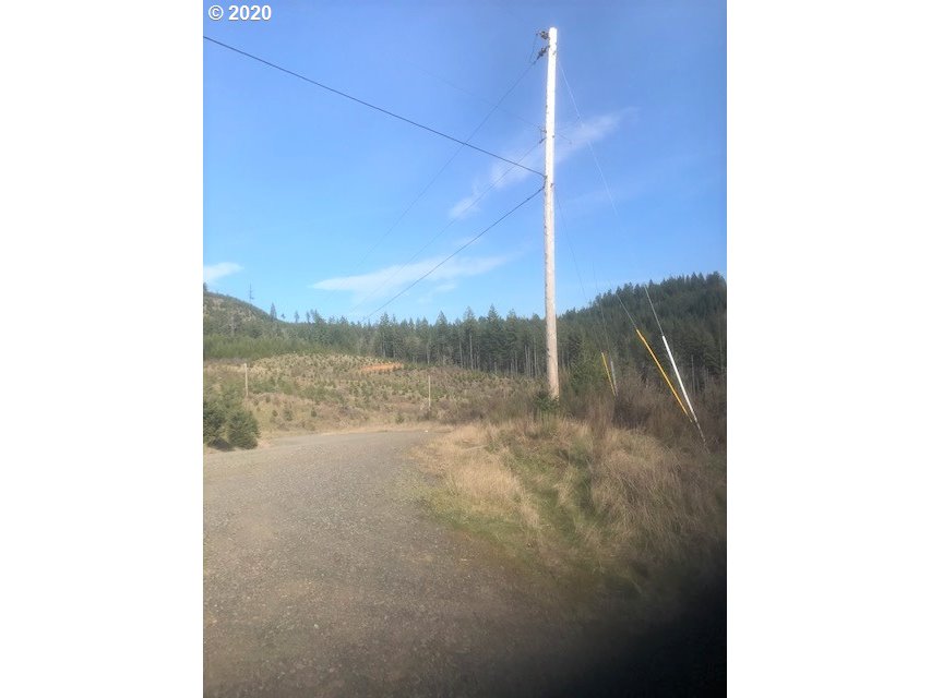 Peavine Road McMinnville, OR 97128 - Photo 10 of 12 Gallery Image 10